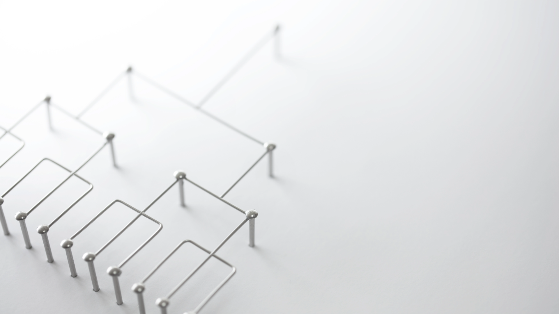 Certified Organization Development Leader