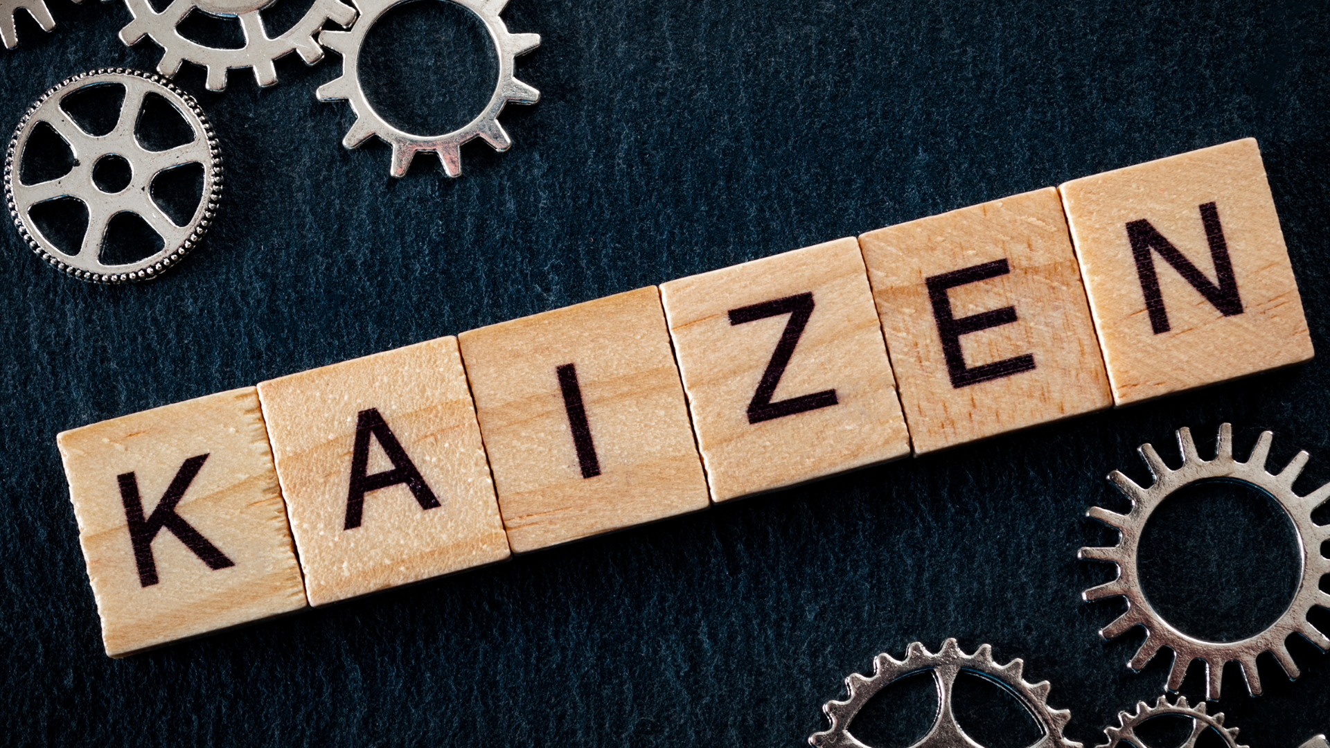 Certified Kaizen Practitioner